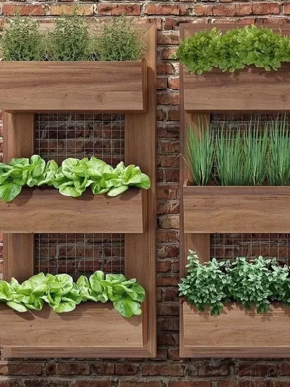 Como Montar uma Horta Vertical em Pequenos Espaços