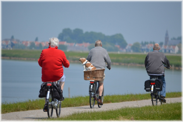 Guia Completo para um Lazer Revigorante