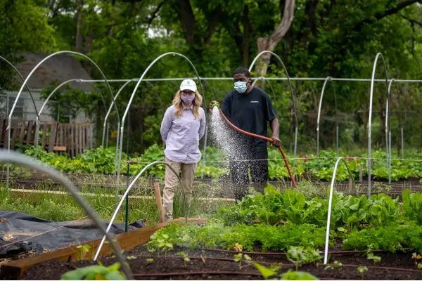 O que é permacultura e como aplicá-la em espaços pequenos