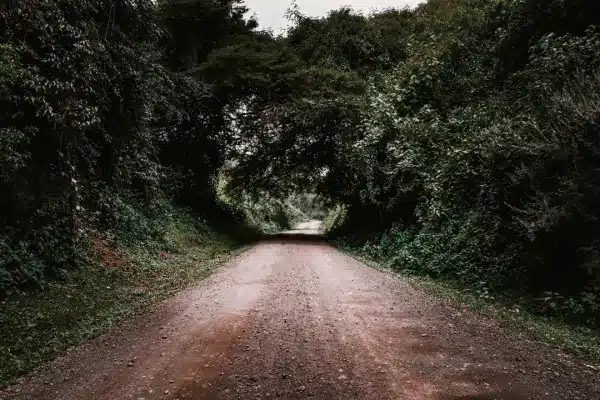 Rodovia Transamazonica